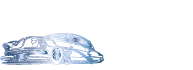 Saticoy Auto Body & Paint Services